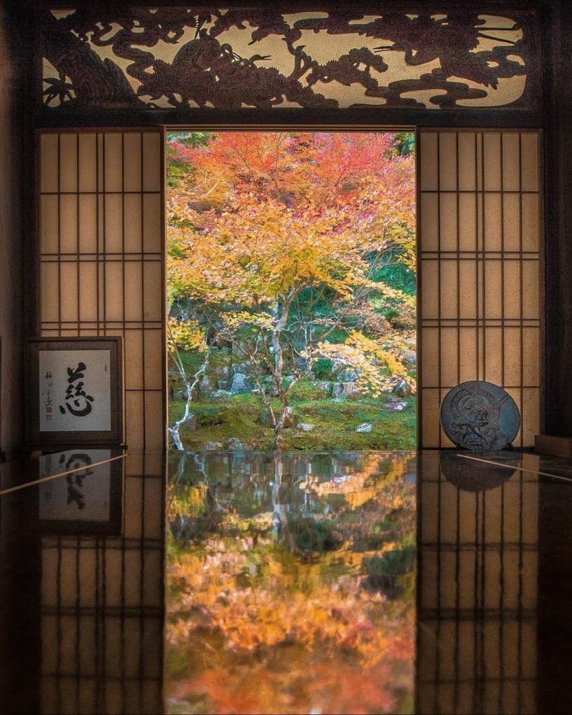 Hyogo's Enichiji Temple is one of the prefecture's most beautiful spots to enjoy...