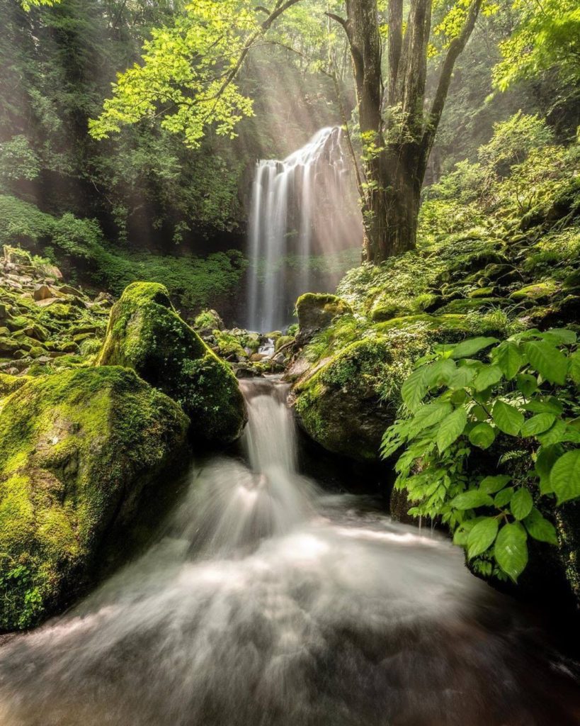 Deep within Kirifuri Plateau in Tochigi Prefecture you'll find a hidden gem: Mak...