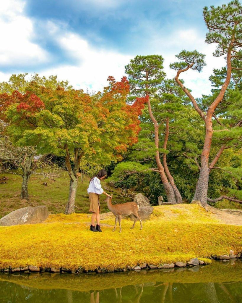 Nara Park is definitely a place where you'll end up making a few new friends! 
:...