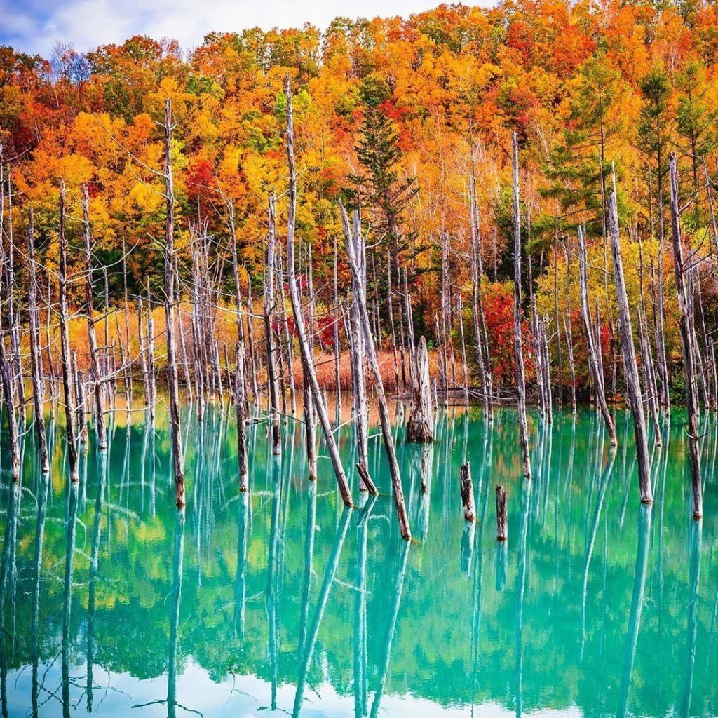 Can you believe that Shirogane Blue Pond in Hokkaido Prefecture was actually mad...
