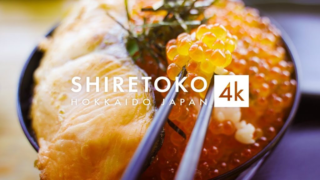 Shiretoko Hokkaido Japan in 4K – 北海道 世界遺産 知床半島 Shiretoko Hokkaido Japan in 4K - 北海道 世界遺産 知床半島