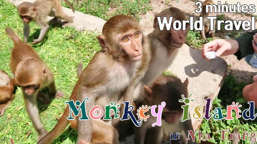 World Travel Guide (Viet Nam) / Monkey Island - Nha Trang city(원숭이섬)
