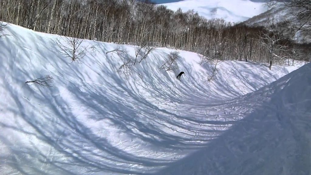 team nexium niseko