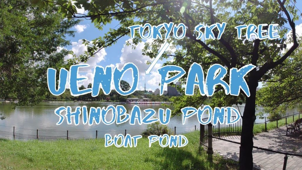 [Vlog] Ueno Park, Shinobazu Pond, Boat Pond with Tokyo Sky Tree