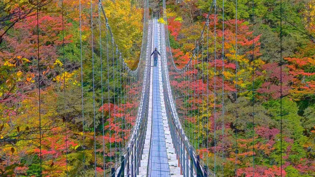[ 4K UltraHD ] 七色に色づく畑薙湖の紅葉 - Autumn Leaves at Hatanagi Lake -  (shot on Samsung NX1)
