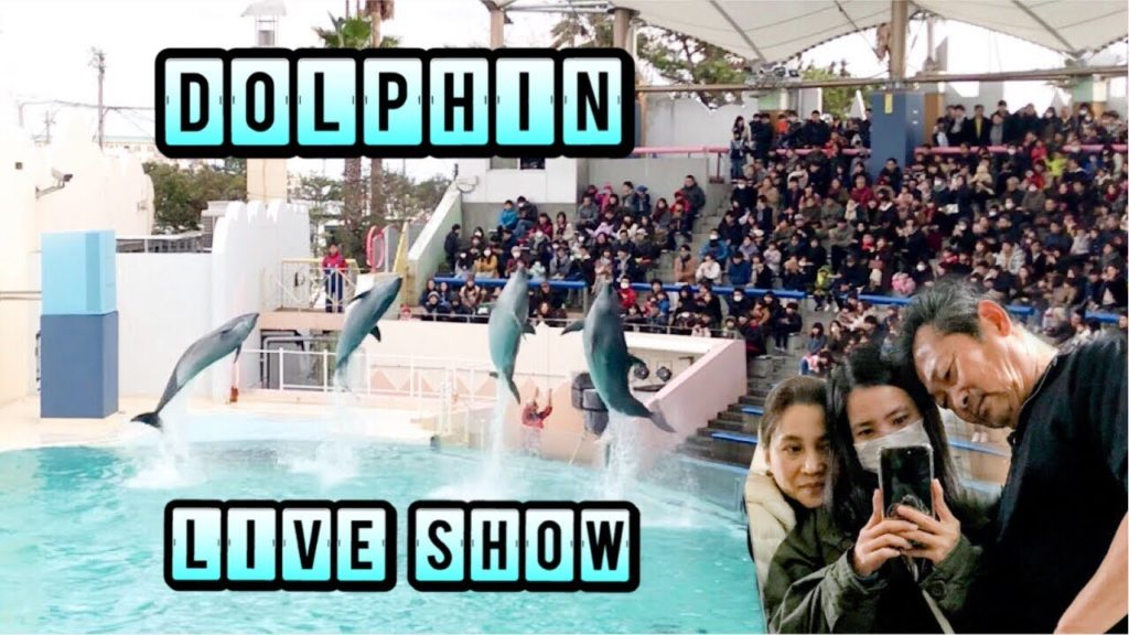 Suma Aquapark 須磨水族館）Kobe -Japan | Eriza Marie