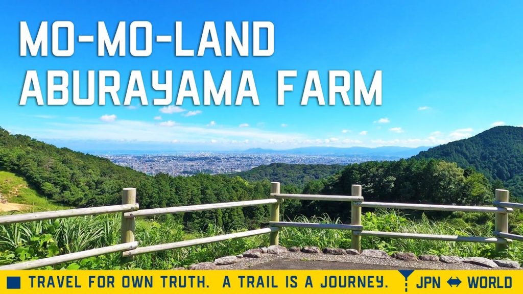 [4K]View of Fukuoka City from Mo-Morando Aburayama Ranch!も～も～らんど油山牧場から福岡市を眺める！