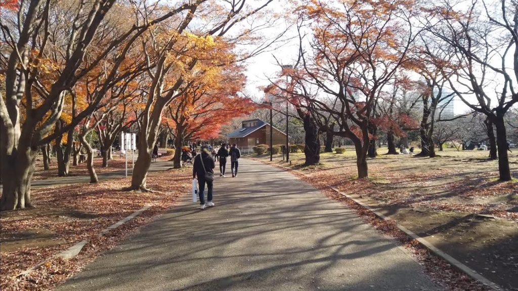 4K Walk - Yoyogi Park, Tokyo "Go around Former Olympic Village 3/3"