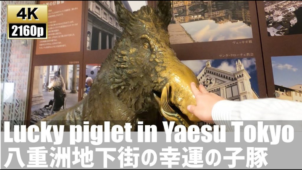Lucky piglet in Yaesu underground shopping area in Tokyo【4K60fps-Japan Travel】2020.7