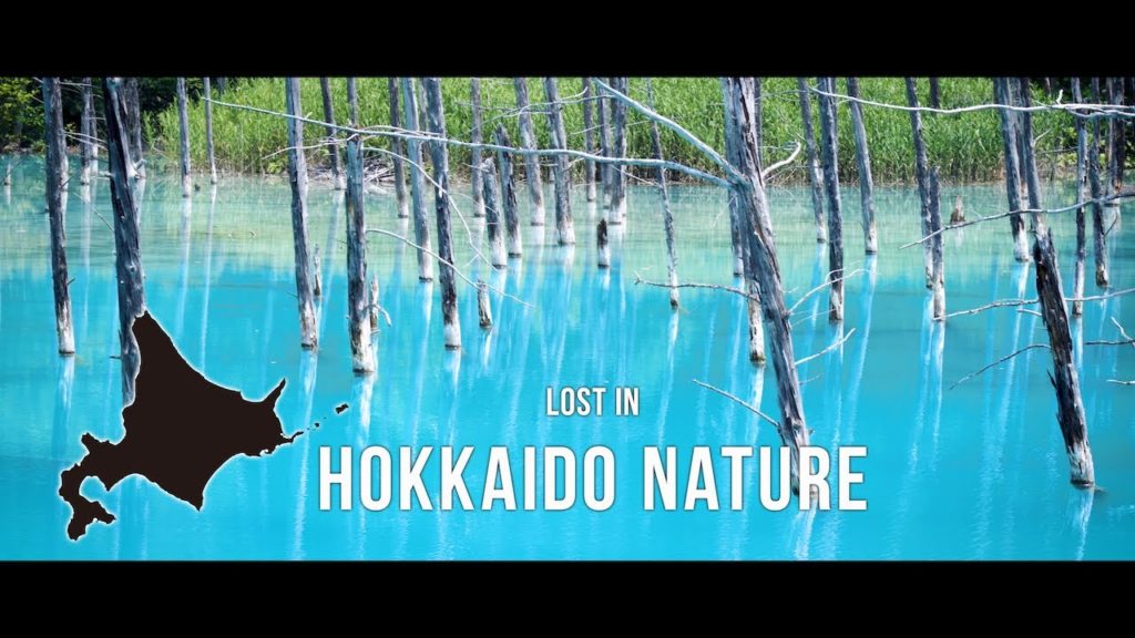Lost in Hokkaido Nature in 4K 〜北海道の自然に魅了されて 4K〜 Lost in Hokkaido Nature in 4K 〜北海道の自然に魅了されて 4K〜