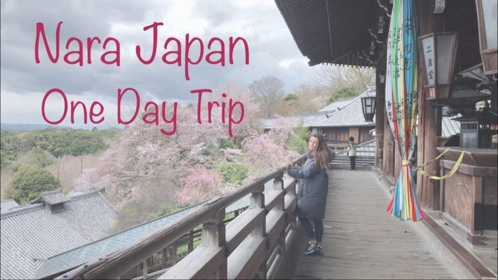 One day Nara Japan 🇯🇵