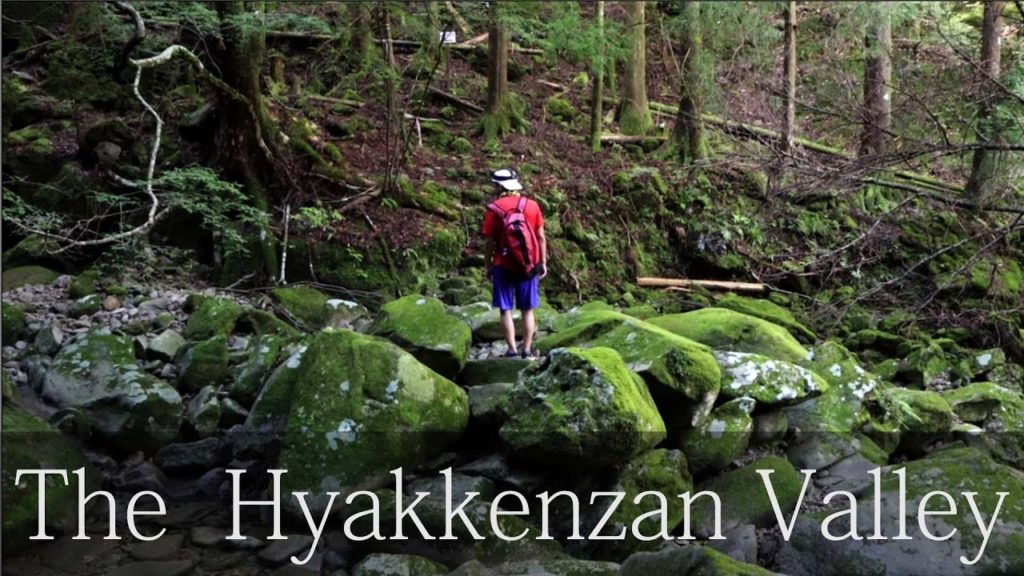 Trekking The Hyakkenzan Valley near the Kumano Kodo vol.2 Travel Japan うろうろ和歌山 Trekking The Hyakkenzan Valley near the Kumano Kodo vol.2 Travel Japan うろうろ和歌山
