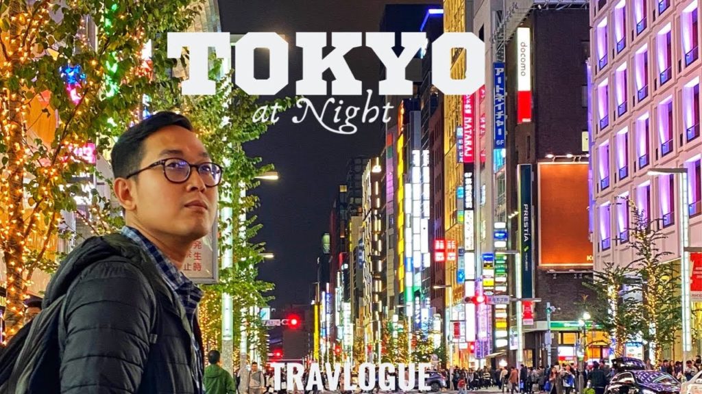 JAPAN TRIP | Ginza & Tokyo Metropolitan Gov Building Observatory | TRAVLOGUE