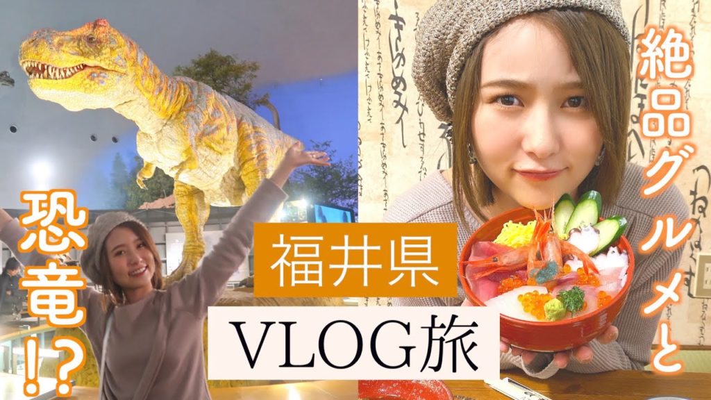 【国内旅行Vlog】福井旅行を1泊2日で満喫♡ / 絶品海鮮丼、恐竜博物館、東尋坊、永平寺etc… 【国内旅行Vlog】福井旅行を1泊2日で満喫♡ / 絶品海鮮丼、恐竜博物館、東尋坊、永平寺etc...