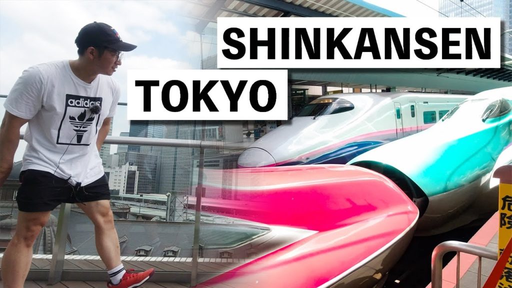 Bullet Train in Tokyo JAPAN / 新幹線が次々ホームに来る東京駅