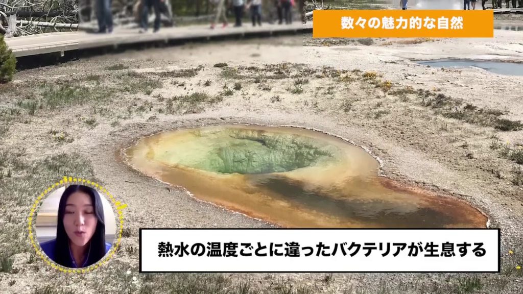 JTB USA 専門ガイドコラボ企画～イエローストーン①【JTB公式 official】