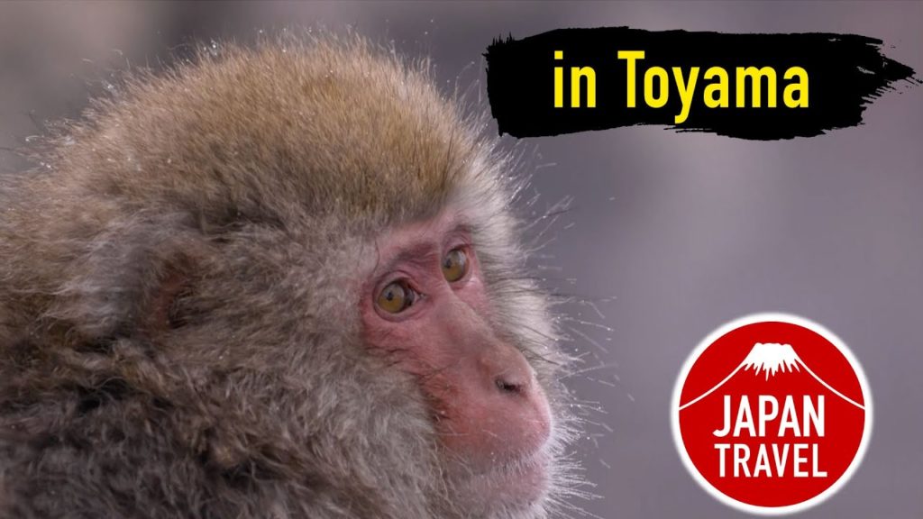 Japan Travel Toyama - SHIRAKAWA MURA OGIMACHI VILLAGE