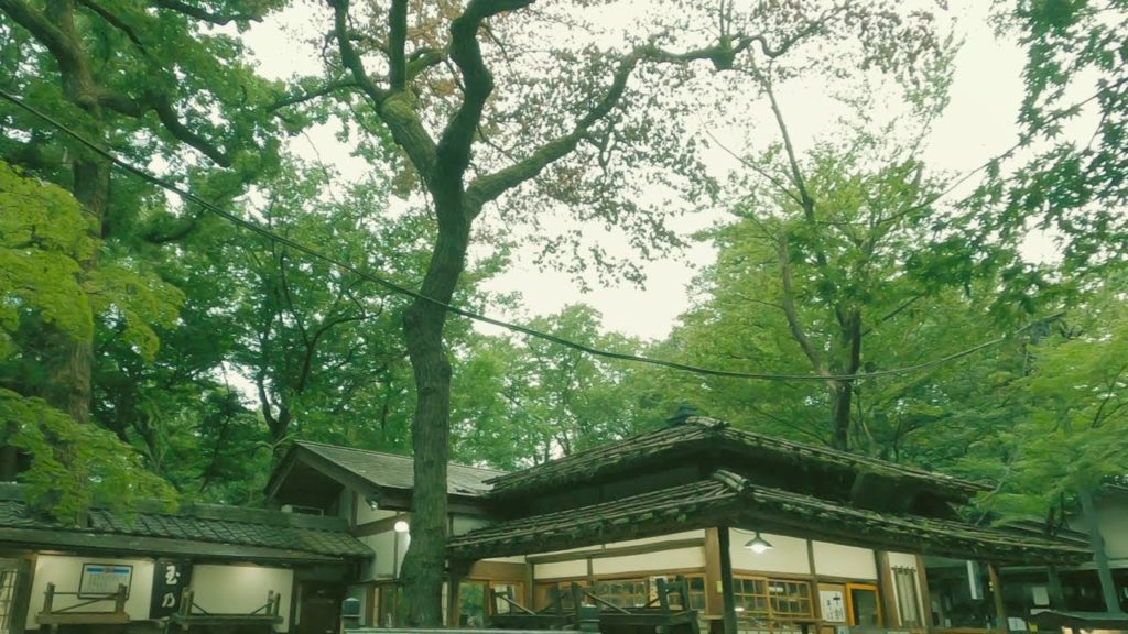 Tokyo Walk | 4K, Jindai Botanical gardens, Japanese soba restaurants, Graveyard, Diakoku and Ebisu Tokyo Walk | 4K, Jindai Botanical gardens, Japanese soba restaurants, Graveyard, Diakoku and Ebisu