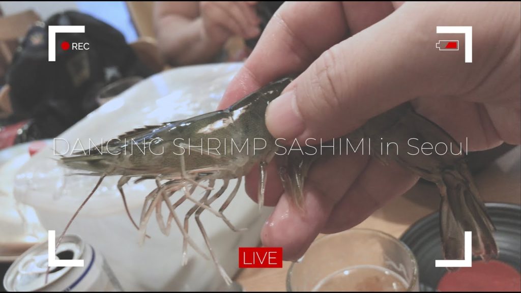 Korean Street Food | DANCING SHRIMP SASHIMI