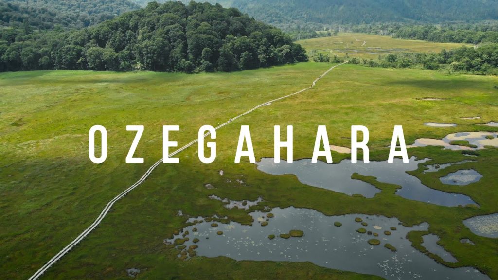 Feel The Blessings of Nature | OZEGAHARA 尾瀬ヶ原 | JAPAN 4K CINEMATIC TRAVEL VLOG Feel The Blessings of Nature | OZEGAHARA 尾瀬ヶ原 | JAPAN 4K CINEMATIC TRAVEL VLOG