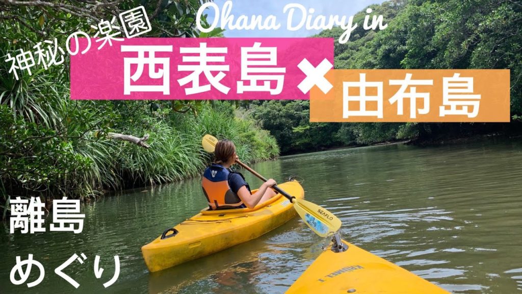 【西表島・由布島Vlog】ジャングル探検隊出動！！