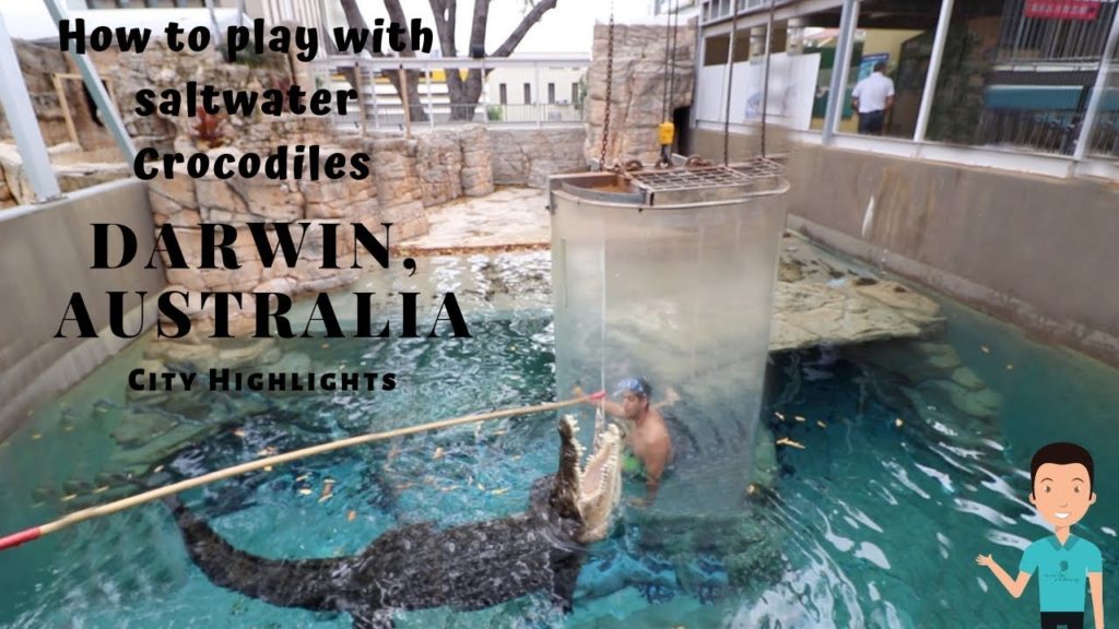 Crocosaurus Cove and my Darwin Australia Adventures (Cruise Vacation Stop 30)