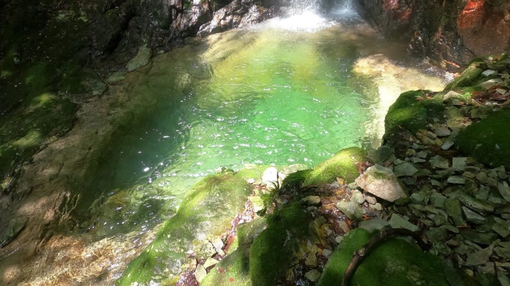 ハリオの滝 Hario Falls～秘境グリーン･異世界へ通じるかのような滝壺⁉👀【日本の滝 和歌山 南紀 古座川 Japanese waterfall Wakayama Koza River】