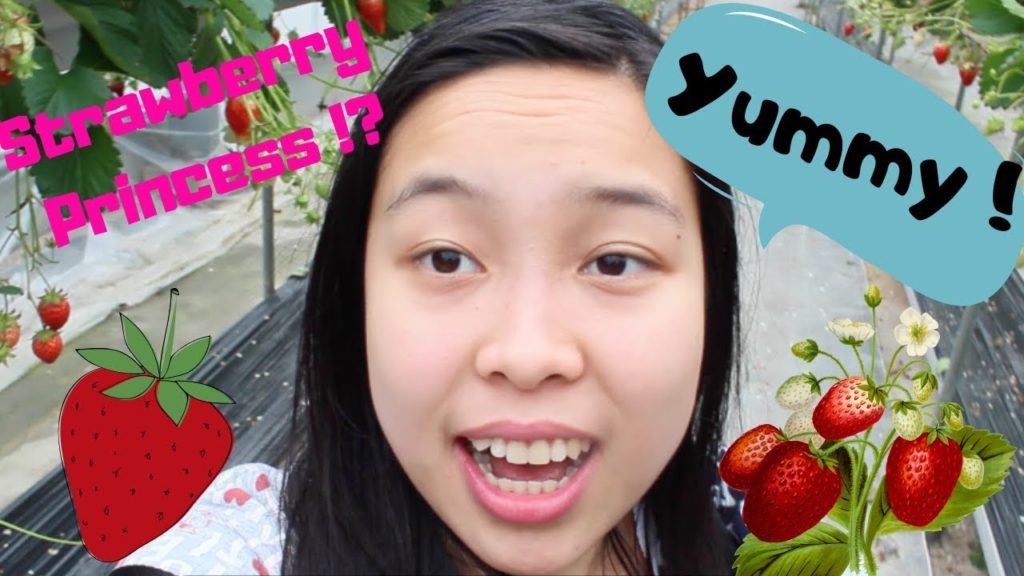 Strawberry picking in Japan 2019  | MIKSWORLD