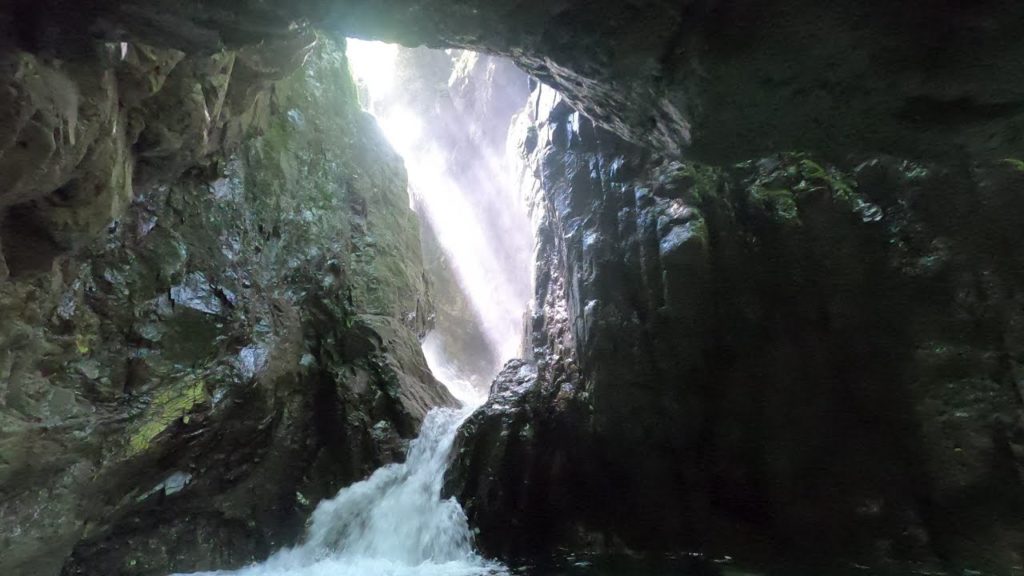 植魚の滝 Ueuo Falls~秘境空間・暗がりに刺す神々しい陽!!🌊【日本の滝 和歌山 南紀 古座川 Japanese waterfall Wakayama Koza River】 植魚の滝 Ueuo Falls~秘境空間・暗がりに刺す神々しい陽!!🌊【日本の滝 和歌山 南紀 古座川 Japanese waterfall Wakayama Koza River】