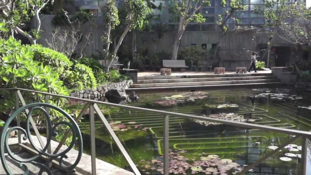 Tropical Dream Center [Okinawa, Japan]