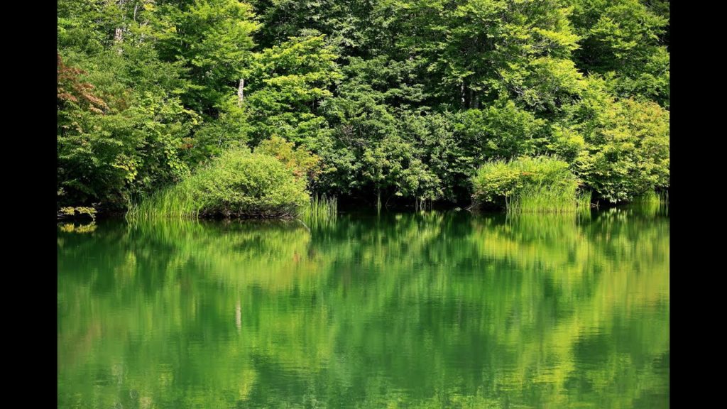 JG☆☆☆☆8K HDR Nagano,Otari,Kamaike and Kitayama,Lakes and Beach Forests 長野 小谷 鎌池と北山　湖水とブナの森と古民家蕎麦