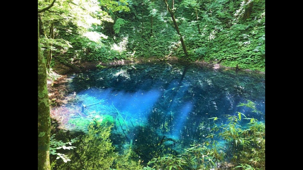 Shirakami-Sanchi 白神山地