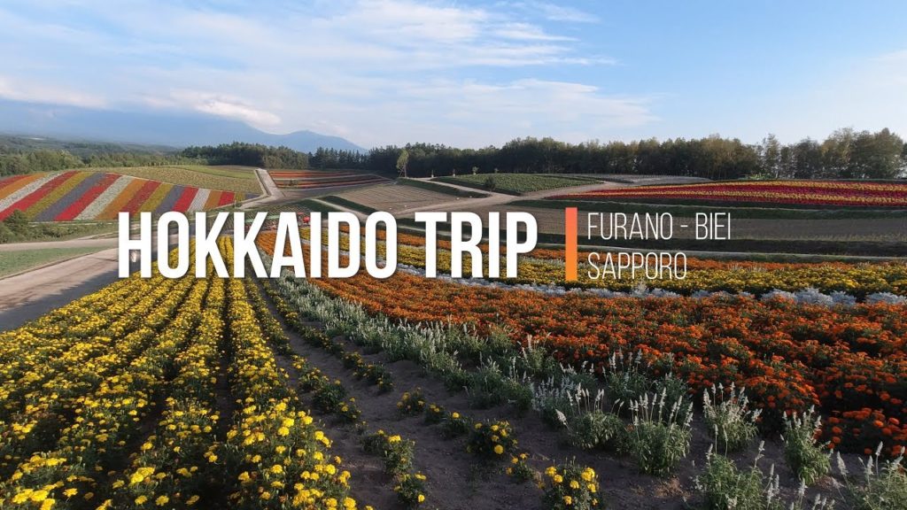 【4K】3分でわかる富良野・美瑛・札幌の見どころとグルメ Hokkaido gourmet & tourism【Vlog】