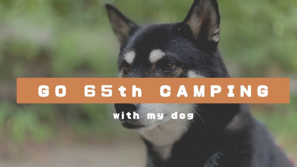 camping in Japan 65th with wife and dog