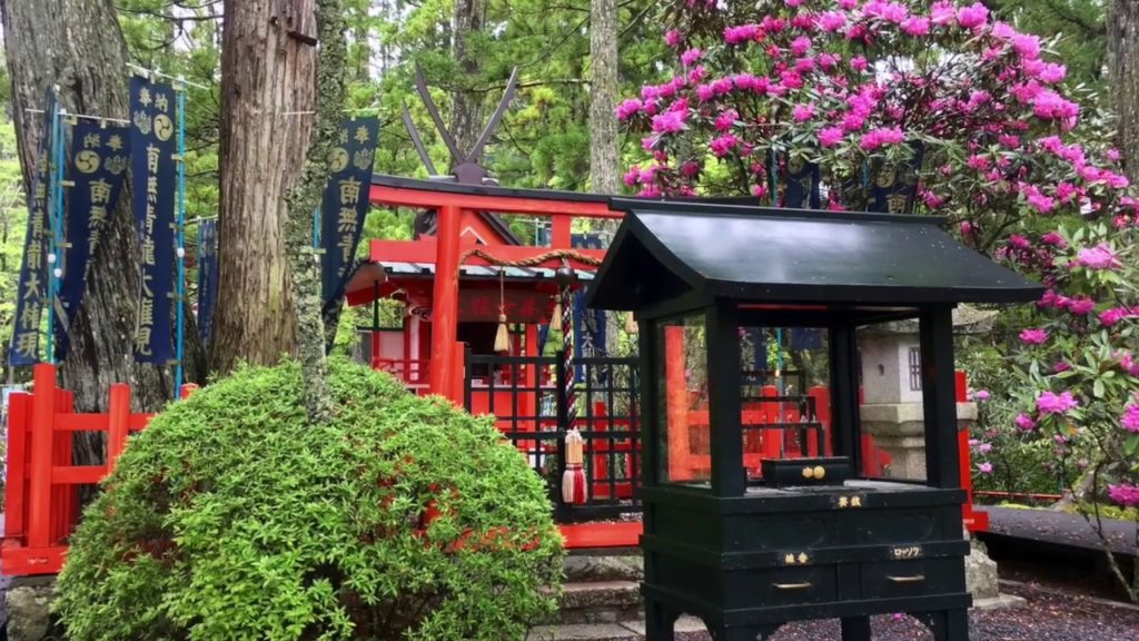 KOYASAN Trip to Japan!/¡Nuestro viaje a Japón! Pt 6.2 KOYASAN Trip to Japan!/¡Nuestro viaje a Japón! Pt 6.2