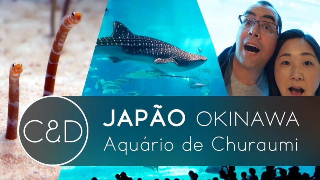 Japão, Okinawa Parte 2 - Churaumi Aquarium - Cah & Dia