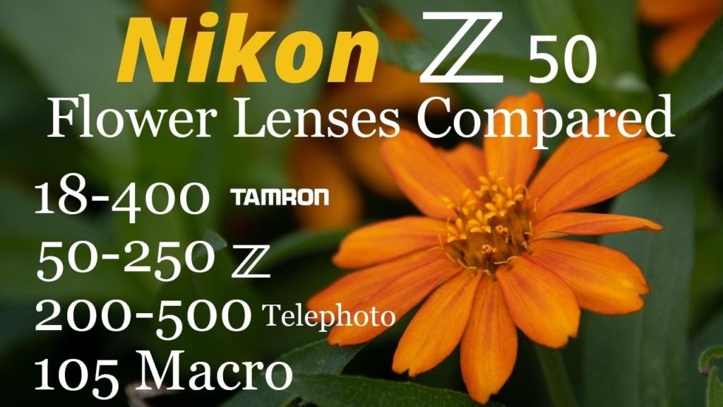 Nikon Z50 • Flower Lenses Compared