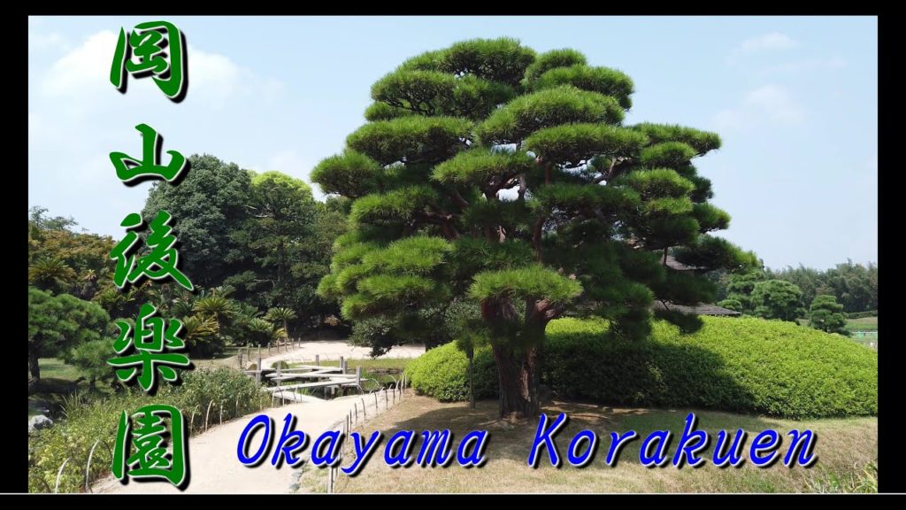 岡山後楽園 大名庭園 岡山城 Okyama Korakuen  Okayama castle  one of the three greatest gardens in Japan