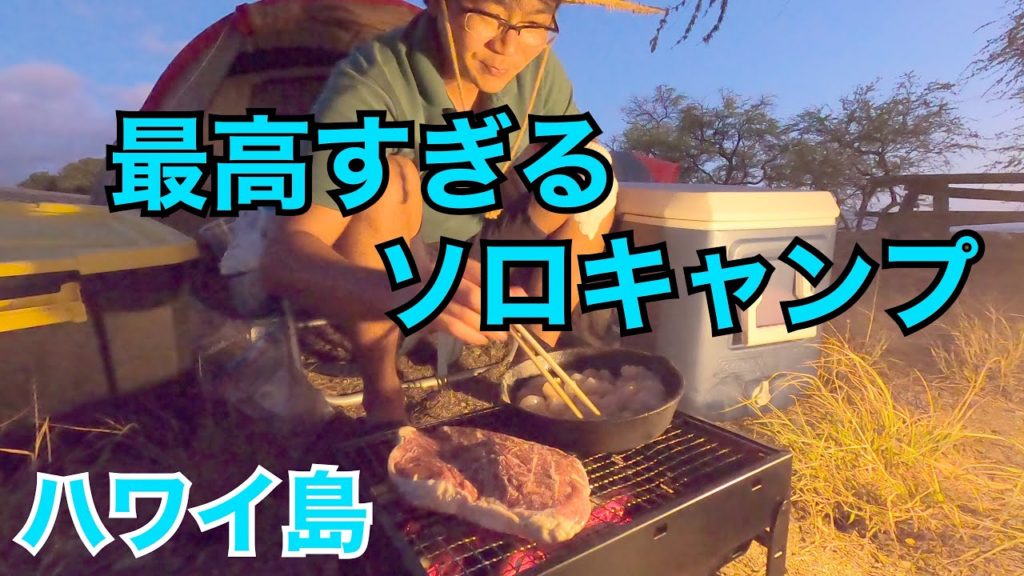 綺麗なビーチでソロキャンプ【ハワイ島 スペンサービーチ 】(自称スノーピークハワイ島支部 会員1名) 綺麗なビーチでソロキャンプ【ハワイ島 スペンサービーチ 】(自称スノーピークハワイ島支部 会員1名)