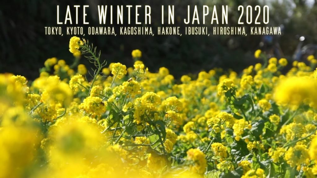 Late winter nature in Japan 2020