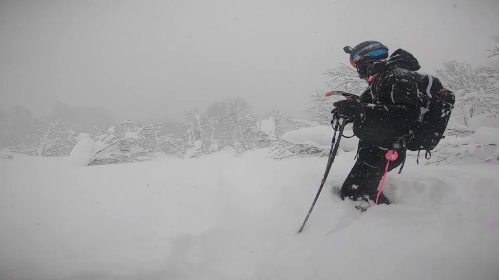 Deep POWDER JAPAN HOKKAIDO SAPPORO BC JAPOW