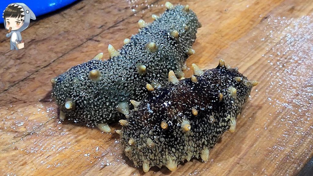 Assorted Seafood Sashimi Songdo Fish Market Pohang Korea 포항 송도 활어회센터 해물모듬회 19 conch sea squirt etc