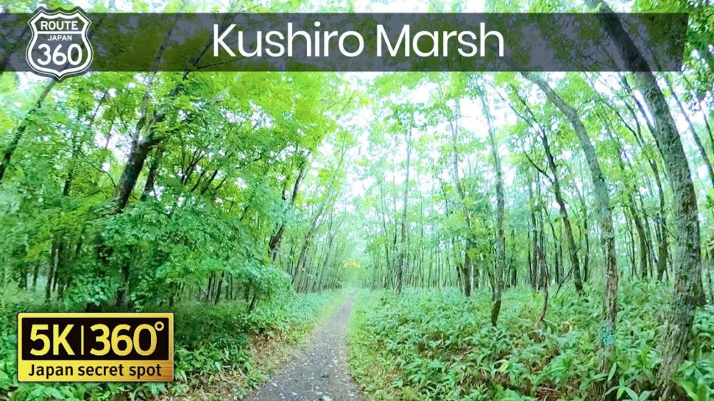 5K 360° | Kushiro marsh Hokkaido Japan, 北海道 釧路湿原