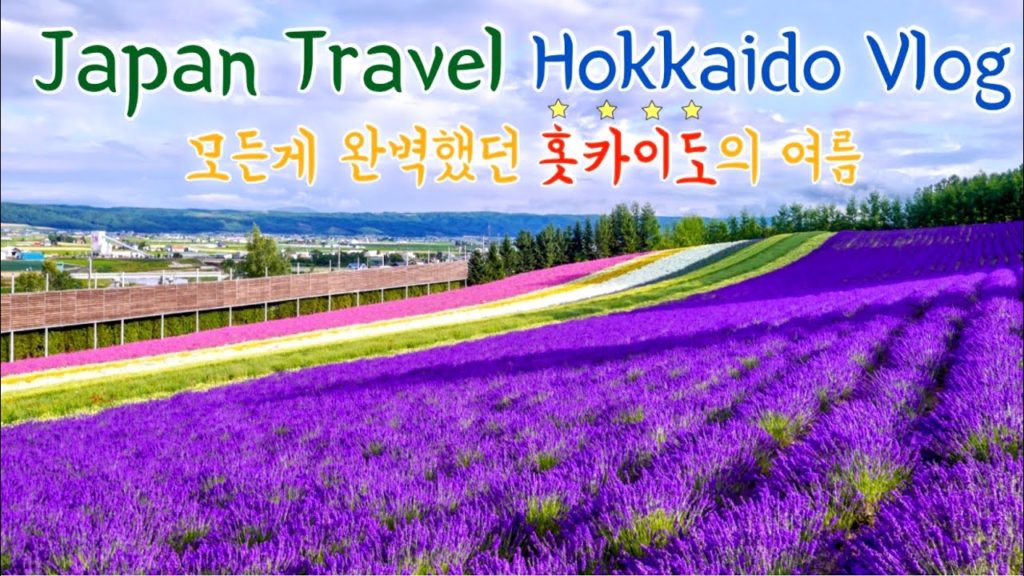 [ENG/日本語] 일본 여행 vlog | 3박 4일 나홀로 홋카이도 여름 여행 | 조잔케이 온천 루미나리에 | 삿포로 맥주 비어가든 | 오타루 미슐랭 초밥 | 비에이 후라노 라벤더