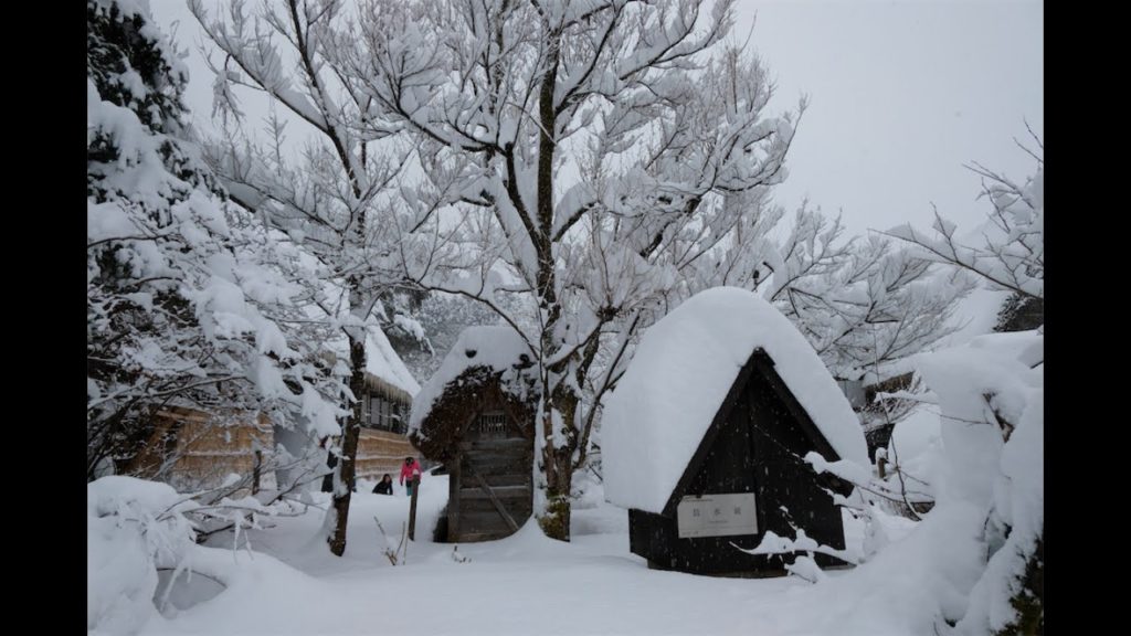 A Visit to Shirakawago, Japan