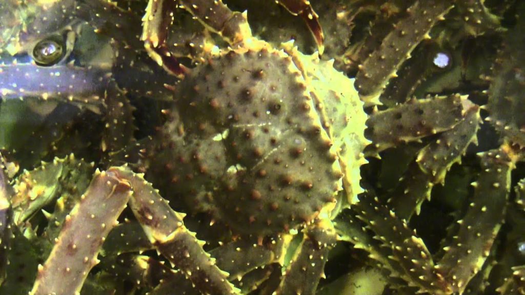 Trip to Hokkiado, Japan 2010 - Day 5