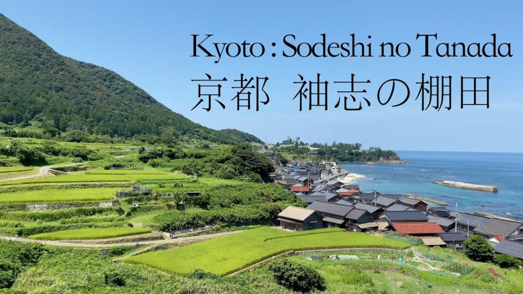 【4K】Walking around Rice Terraces in Kyoto, Sodeshi no Tanada. Teracced Rice-Fields. 【4K】Walking around Rice Terraces in Kyoto, Sodeshi no Tanada. Teracced Rice-Fields.