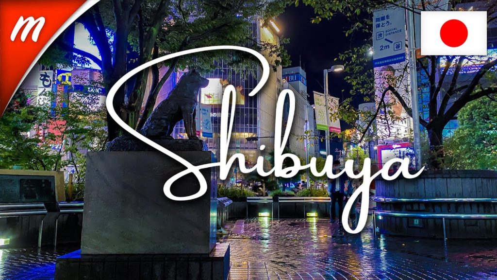 TOKYO WALKING TOURS | Hachiko Memorial Statue and Shibuya Chuo-gai St.