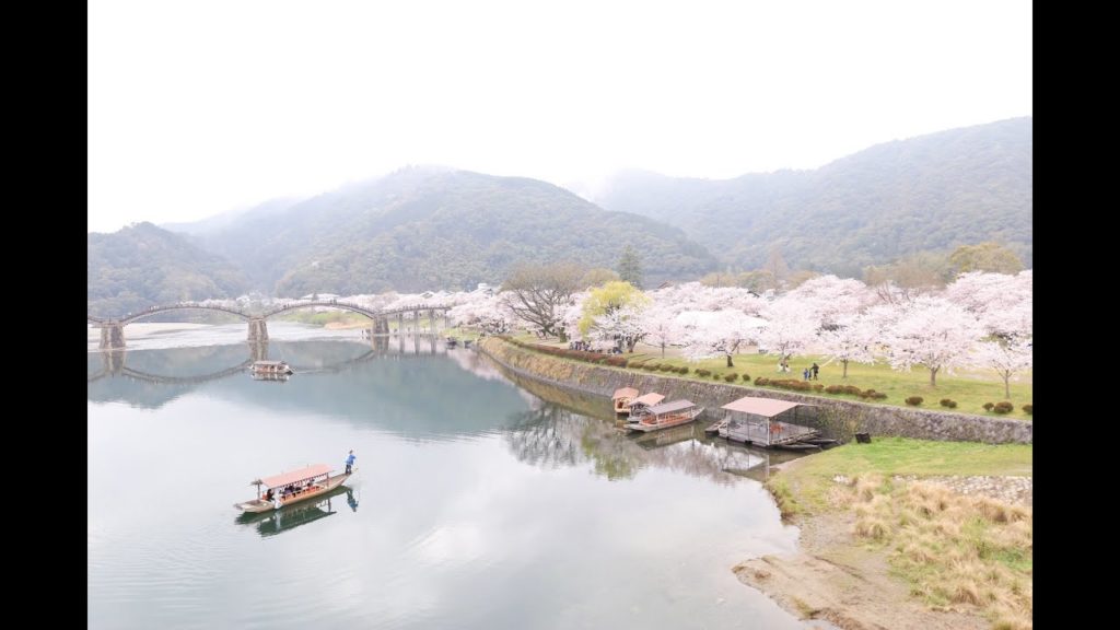 Good Morning Japan Vlog: Days 13 to 15