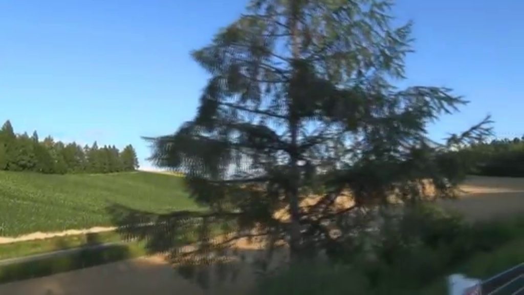 晴れた日の美瑛の丘「美馬牛」。Traveling to Japan discovery."Hill of Biei"